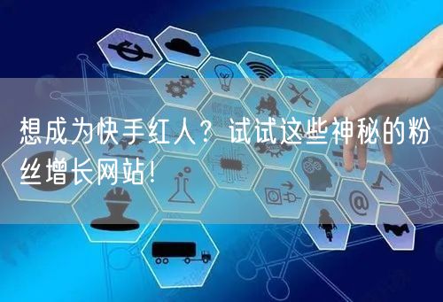 想成为快手红人？试试这些神秘的粉丝增长网站！