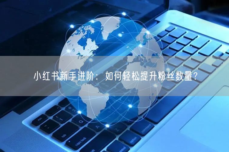 小红书新手进阶：如何轻松提升粉丝数量？