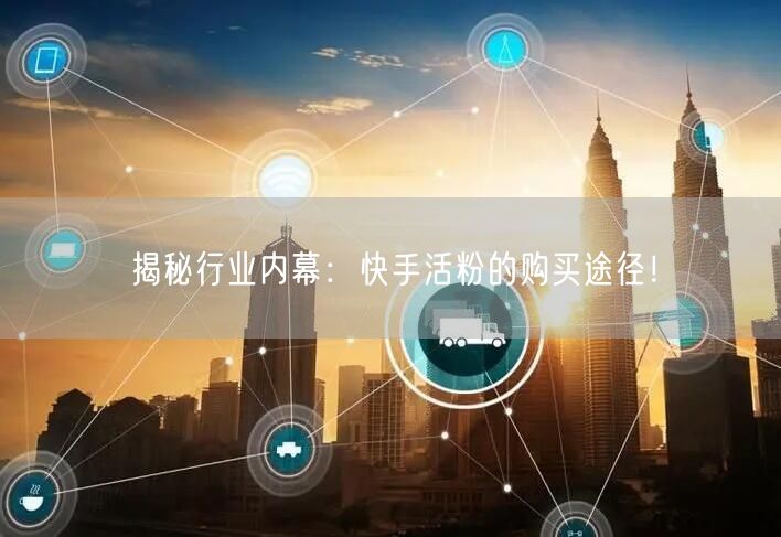 揭秘行业内幕：快手活粉的购买途径！