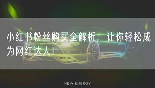 小红书粉丝购买全解析，让你轻松成为网红达人！