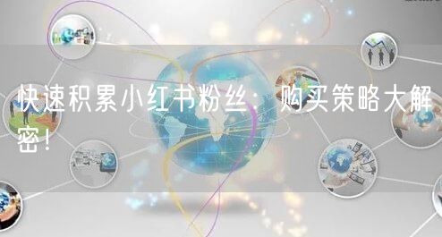 快速积累小红书粉丝：购买策略大解密！