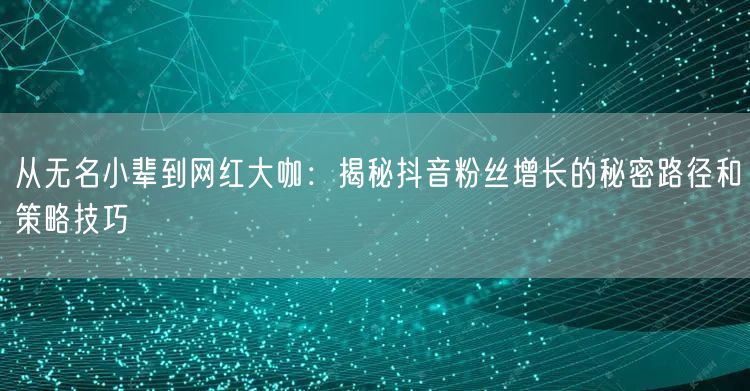 从无名小辈到网红大咖：揭秘抖音粉丝增长的秘密路径和策略技巧