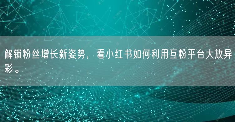 解锁粉丝增长新姿势，看小红书如何利用互粉平台大放异彩。