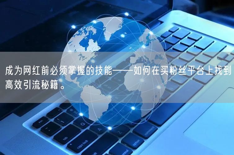 成为网红前必须掌握的技能——如何在买粉丝平台上找到高效引流秘籍。