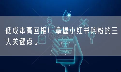 低成本高回报！掌握小红书购粉的三大关键点。