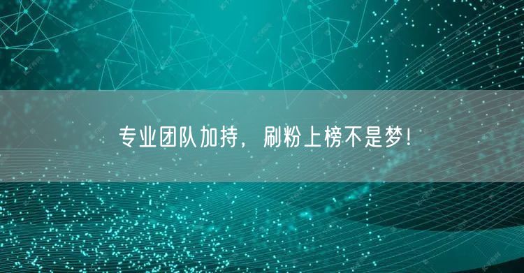 专业团队加持，刷粉上榜不是梦！
