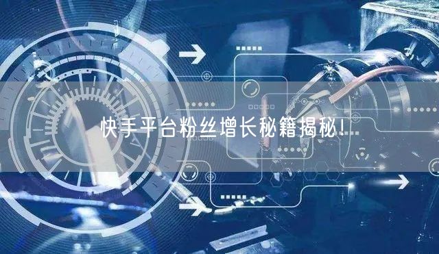 快手平台粉丝增长秘籍揭秘！