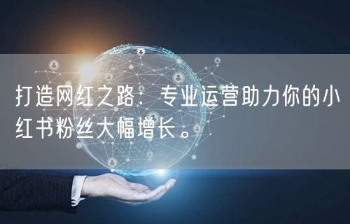打造网红之路：专业运营助力你的小红书粉丝大幅增长。