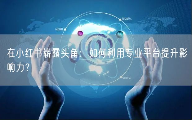 在小红书崭露头角：如何利用专业平台提升影响力？