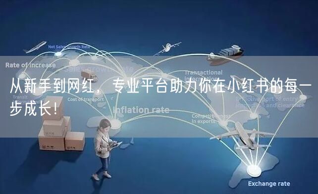 从新手到网红，专业平台助力你在小红书的每一步成长！