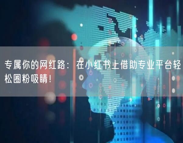 专属你的网红路：在小红书上借助专业平台轻松圈粉吸睛！