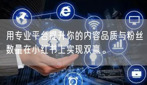用专业平台提升你的内容品质与粉丝数量在小红书上实现双赢。
