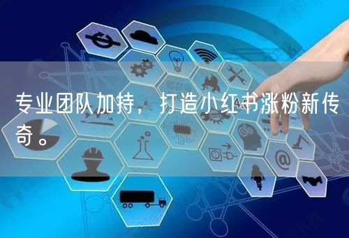 专业团队加持，打造小红书涨粉新传奇。