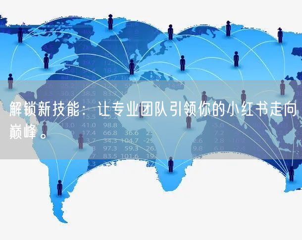 解锁新技能：让专业团队引领你的小红书走向巅峰。