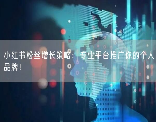 小红书粉丝增长策略：专业平台推广你的个人品牌！