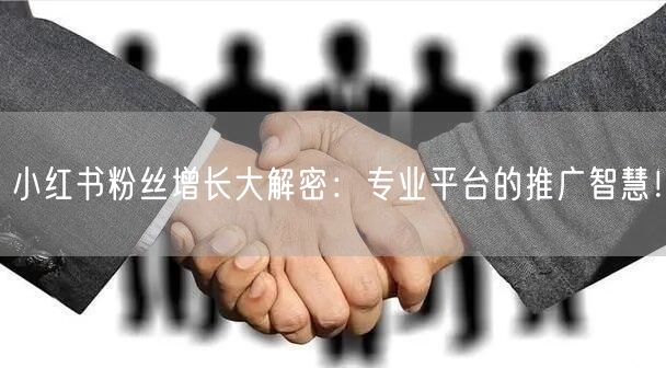 小红书粉丝增长大解密：专业平台的推广智慧！