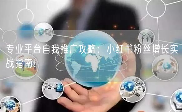 专业平台自我推广攻略：小红书粉丝增长实战指南！