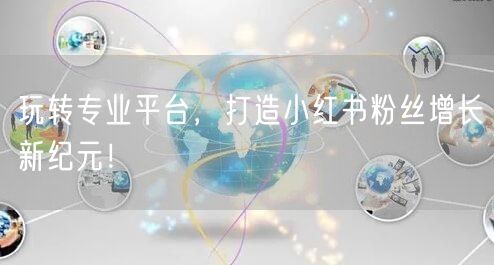 玩转专业平台，打造小红书粉丝增长新纪元！
