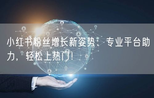 小红书粉丝增长新姿势：专业平台助力，轻松上热门！