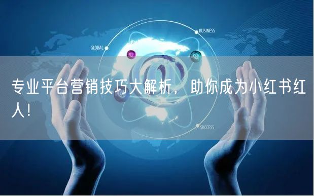 专业平台营销技巧大解析，助你成为小红书红人！