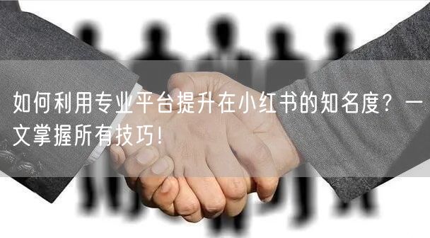 如何利用专业平台提升在小红书的知名度？一文掌握所有技巧！