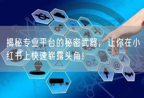 揭秘专业平台的秘密武器，让你在小红书上快速崭露头角！