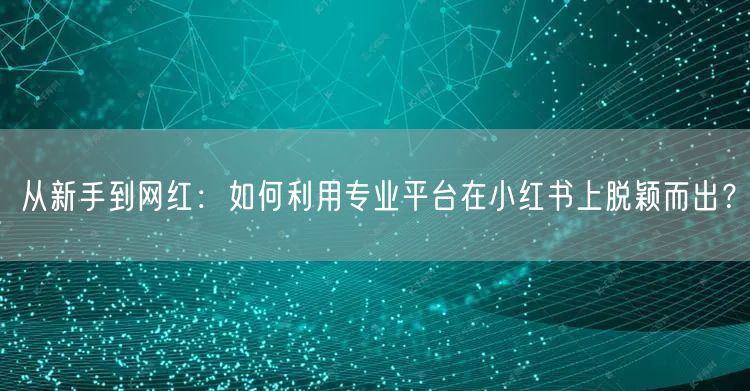 从新手到网红：如何利用专业平台在小红书上脱颖而出？
