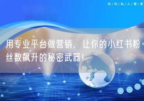 用专业平台做营销，让你的小红书粉丝数飙升的秘密武器！