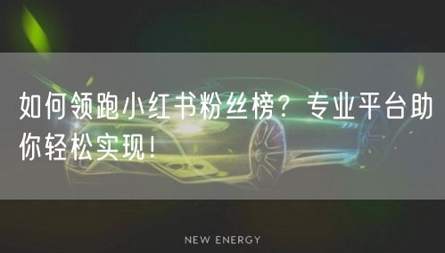 如何领跑小红书粉丝榜？专业平台助你轻松实现！