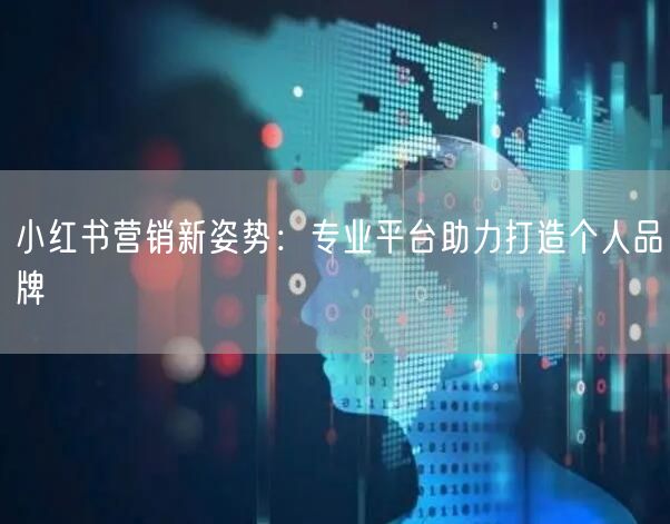 小红书营销新姿势：专业平台助力打造个人品牌