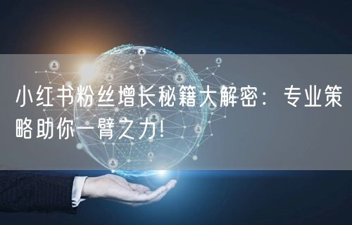 小红书粉丝增长秘籍大解密：专业策略助你一臂之力！