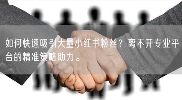 如何快速吸引大量小红书粉丝？离不开专业平台的精准策略助力。