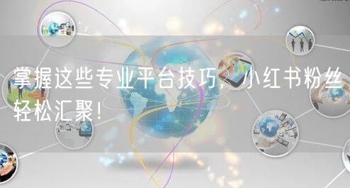 掌握这些专业平台技巧，小红书粉丝轻松汇聚！