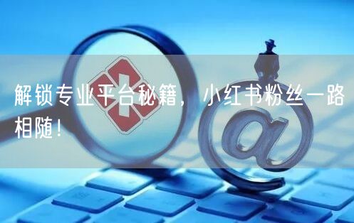 解锁专业平台秘籍，小红书粉丝一路相随！