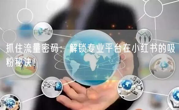 抓住流量密码：解锁专业平台在小红书的吸粉秘诀！