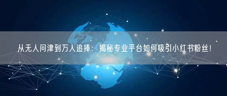 从无人问津到万人追捧：揭秘专业平台如何吸引小红书粉丝！