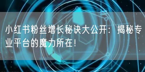 小红书粉丝增长秘诀大公开：揭秘专业平台的魔力所在！