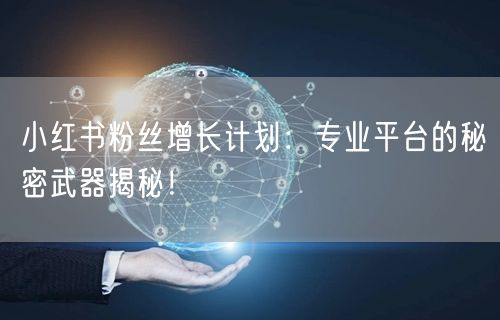 小红书粉丝增长计划：专业平台的秘密武器揭秘！