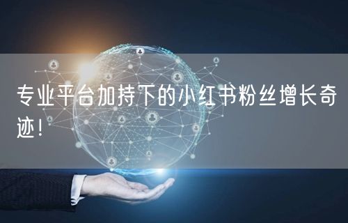专业平台加持下的小红书粉丝增长奇迹！
