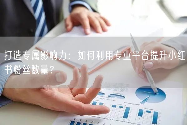 打造专属影响力：如何利用专业平台提升小红书粉丝数量？