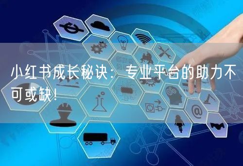 小红书成长秘诀：专业平台的助力不可或缺！