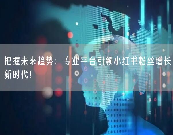 把握未来趋势：专业平台引领小红书粉丝增长新时代！