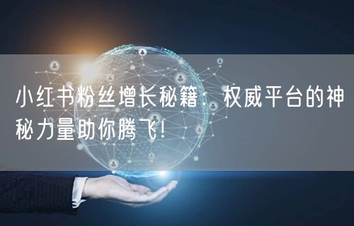 小红书粉丝增长秘籍：权威平台的神秘力量助你腾飞！
