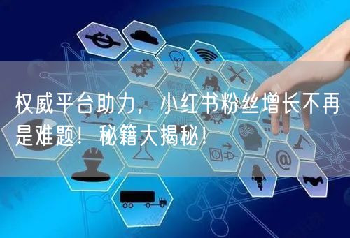权威平台助力，小红书粉丝增长不再是难题！秘籍大揭秘！