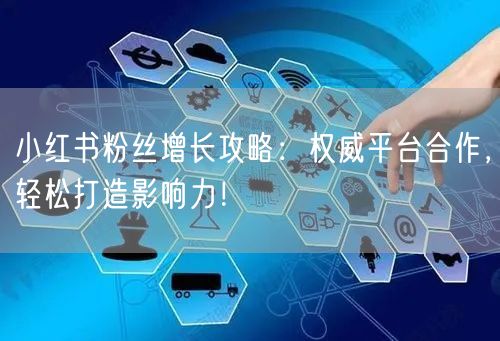 小红书粉丝增长攻略：权威平台合作，轻松打造影响力！