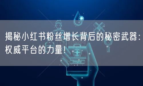 揭秘小红书粉丝增长背后的秘密武器：权威平台的力量！
