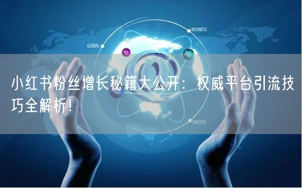 小红书粉丝增长秘籍大公开：权威平台引流技巧全解析！