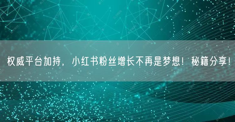 权威平台加持，小红书粉丝增长不再是梦想！秘籍分享！