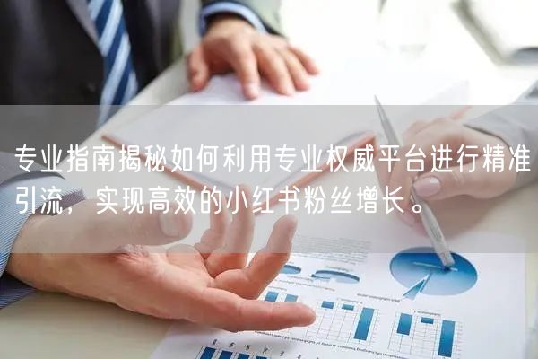 专业指南揭秘如何利用专业权威平台进行精准引流，实现高效的小红书粉丝增长。