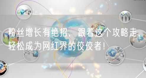 粉丝增长有绝招，跟着这个攻略走，轻松成为网红界的佼佼者！